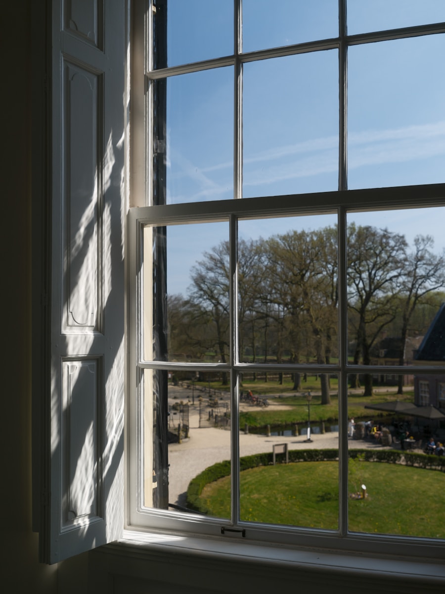 View of a park scene through a window.